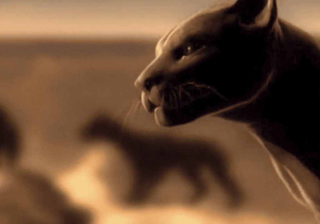 Tiromancino – Imparare dal vento